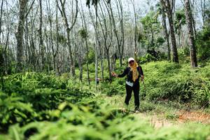 BIB: 
                            <button type="button" onclick="openModal(26360753)" class="btn btn-primary btn-sm float-right btn-popup" data-toggle="modal" data-target=".modal-high-quality">
                        <i class="fas fa-shopping-cart"></i> Add to Cart
                    </button>
                                            <button type="button" onclick="isThisMe(26360753, true)" class="btn btn-success btn-sm float-right btn-popup btn-isme hidden" data-toggle="tooltip" data-placement="bottom" title="นี่คือรูปของคุณใช่ไหม คลิกที่นี่เพื่อเอาเข้าอัลบั้ม">
                        <i class="fas fa-plus"></i> Add to album
                    </button>
                    <button type="button" onclick="isThisMe(26360753, false)" class="btn btn-warning btn-sm float-right btn-popup btn-isnotme hidden">
                        <i class="fas fa-ban"></i> Remove from album
                    </button>